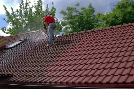 Roof clean